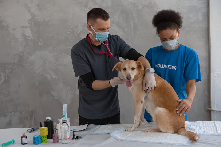 Keeping Your Pet Healthy: Essential Preventative Care