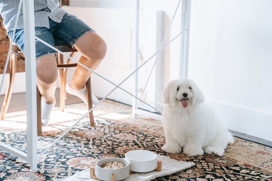 Understanding Pet Nutrition: What Your Animal Really Needs